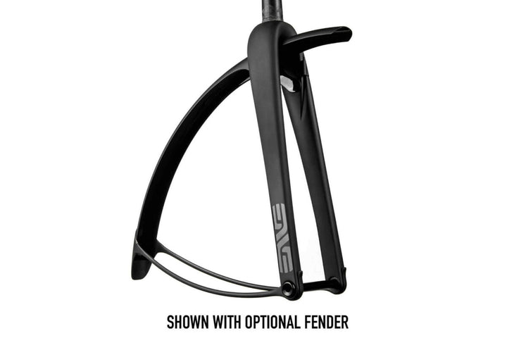 AR Disc Fork