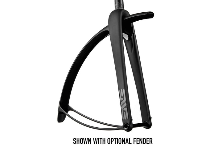 AR Disc Fork