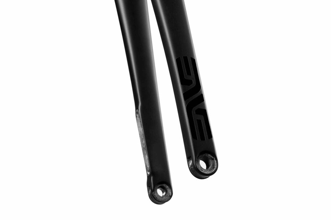 AR Disc Fork