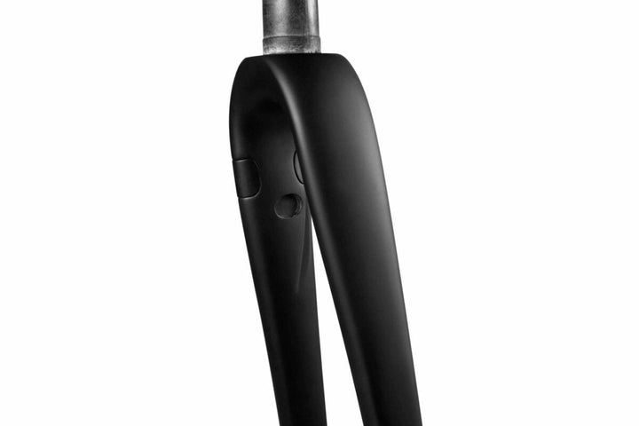 AR Disc Fork